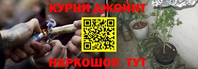 индика Кулебаки