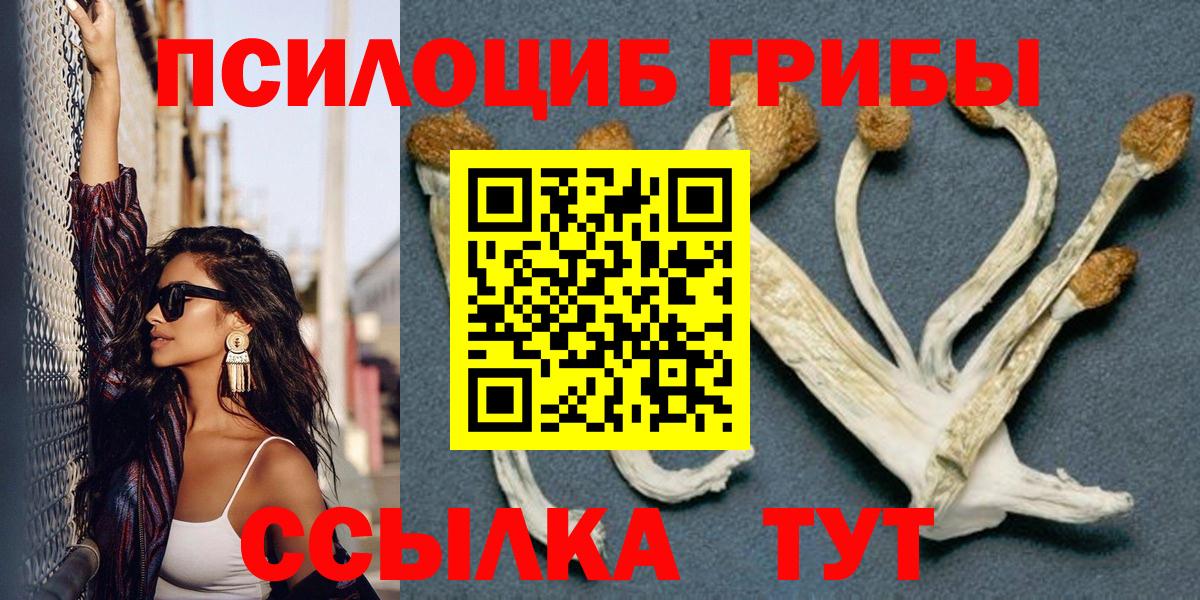 Галлюциногенные грибы мухоморы Советская Гавань