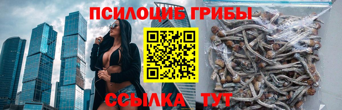 Псилоцибиновые грибы мухоморы  Вход с VPN  Советская Гавань 